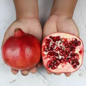 프리미엄 수입 석류 2.5kg