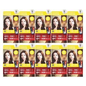 엘지 엘라스틴 염색약 살롱드컬러 밝은갈색 X 10개