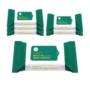 [보리보리/올담]올담미인 여성청결티슈 20매 12팩