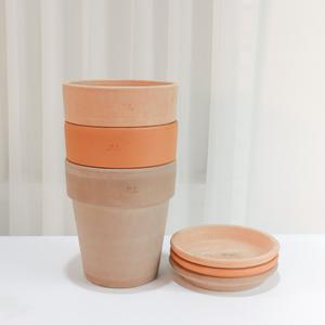 갑조네 이태리 바소 알토 토분