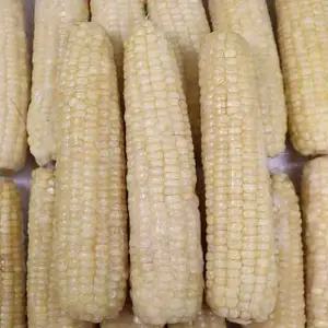 강원도 냉동 미백찰옥수수 10개