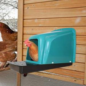 가정용 개별 닭산란통 산란 박스 조류 케이지