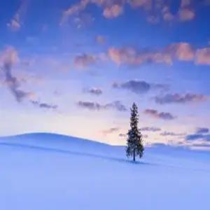 다시 돌아온 눈꽃여행 [대구출발] 북해도 핵심 4일_스노우래프팅+도야 유람선/무제한 게뷔페+GIFT 3종