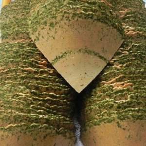 부채과자 2kg/3kg [옛날과자백화점]