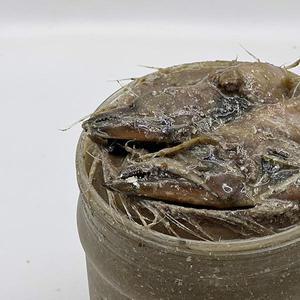 강경장수젓갈 갈치젓1kg