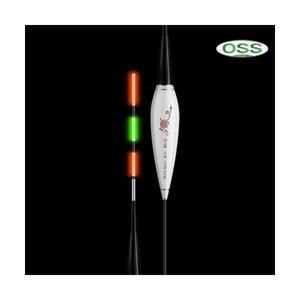 예민한입질 전자 단찌