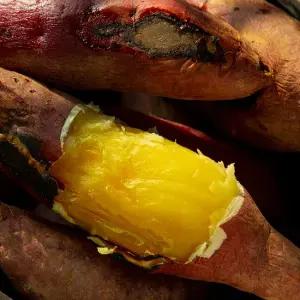 김의준 영암 세척 숙성 베니하루카 황금꿀고구마 3kg 로얄 소