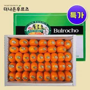 [더나은후르츠][산지 직송] 특품 제주 불로초 감귤 가정용 선물용 1.5kg 3kg 내외