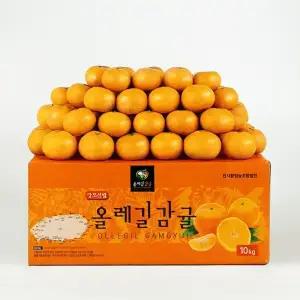 [대용량] 서귀포 노지 하우스 감귤 5KG 9KG 시즌행사