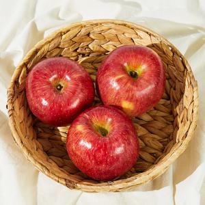 애플진 경북 햇사과 제철 꿀사과 껍질째먹는 세척사과 2kg 소과 9~13과