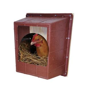 산란통 닭 알통 알집 알낳는통 밀폐형 1개