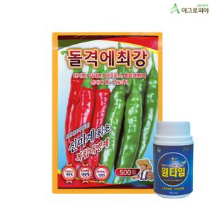 돌격에최강500립 복합 내병계 고품질 극매운맛 대과 사카타코리아 큰 청양고추 씨앗 종자 씨