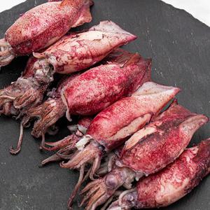 급냉 총알 한치 500g