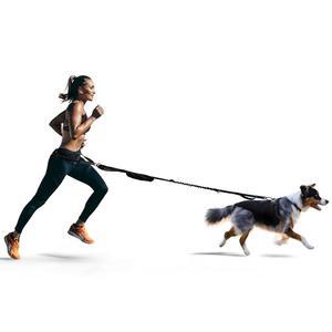 건강한 반려견 러닝 허리 벨트 - 도그 리드 캐니크로스 하네스 휴대용 개인 용품 러닝, 걷기, 하이킹 파우치가 있는 반려견용 리드, 라인으로 전환 에메랄드 블루