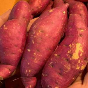 간식 당진 호박고구마 10kg 특 고구마 당진고구마 식사대용