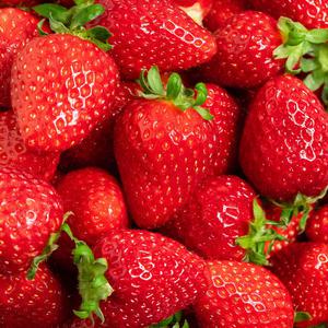 설향 딸기[한입과] 2kg(120-160구)