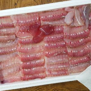국산 흑산도 홍어 삭힌 숙성 생홍어 홍어애 500g 1kg