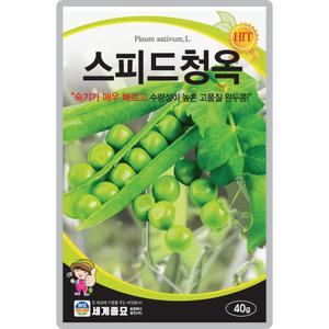 산들마켓 스피드청옥 완두콩씨앗 40g 숙기가 매우 빠른 수량성 높은 조생종 완두콩씨 종자