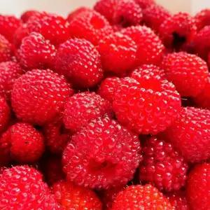 탱글탱글, 새콤달콤한 급냉 산딸기 500g 2팩