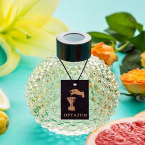 옵타움 향좋은 디퓨저 탱지 서프라이즈 추천 100ml BNS