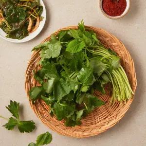 참나물 (200g)