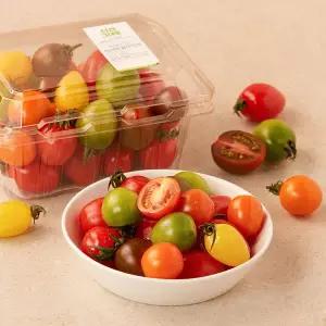 컬러방울토마토 500g 팩