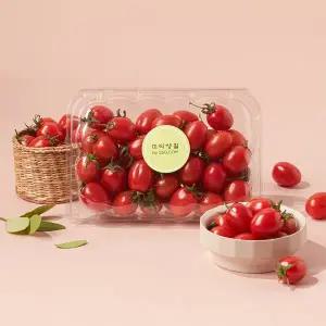 [프리미엄] 가바 토마토 500g 팩