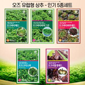 유럽상추 씨앗 코팅종자 상추씨 5종 A세트 버터헤드 로메인 바타비아 멀티리피