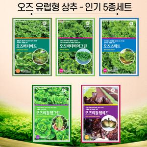 유럽상추 씨앗 코팅종자 상추씨 5종 B세트 버터헤드 로메인 바타비아 멀티리피