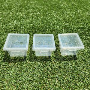 파충류 알보관 케이지 1개 - 알부화 산란 해칭 크레 게코 도마뱀 에그트레이 부화통