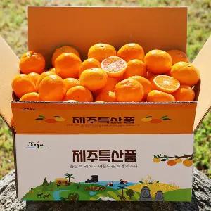 귤 제주감귤 타이백 감귤 2.5kg 소과2S-S(30-47과)