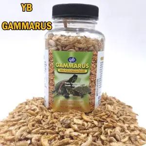 어밥 YB 감마루스 거북이 사료 밥 먹이 250ML