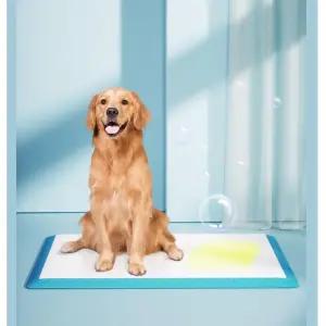 강아지 배변패드 애견 반려견 애완용품 소형견 대형견