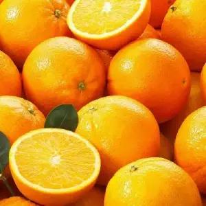 항공직수입 프리미엄 고당도 네이블 오렌지 20개입(3.8kg내외) 중과