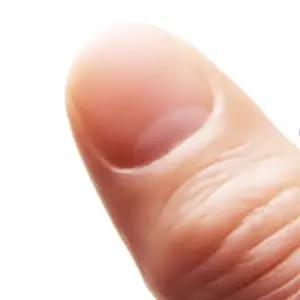 인조손가락 손가락 의수 골무 마네킹 인공 네일샵 네일아트 연습용 경질 엄지 라지(2개)