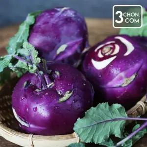 [삼촌밥먹자] 아삭아삭 수분 많은 햇 콜라비 10kg