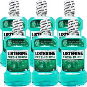 리스테린 후레쉬 버스트 750ml 6개