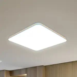 빛나라조명 LED 슬림 시스템 방등 60W 골든L DC타입 /거실 안방 조명 형광등 / 주광색(6500K