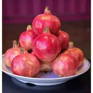 국내산 고흥석류 생과일 석류 생과 국산 5kg