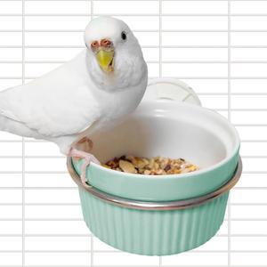 케이지용 자동 새 모이통, 세라믹 앵무새 모이통 컵 - 청소 및 설치가 간편하고 식기세척기 안전 앵무새, 코카티엘, 카나리아용 소형 동물 사료 물 접시