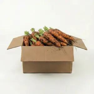 제주 구좌 당근 중 5kg 국산 흙 주스용 미니 당근 햇당근