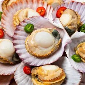 [고고쇼핑]통영직송 홍가리비 5kg(kg당20미내외)