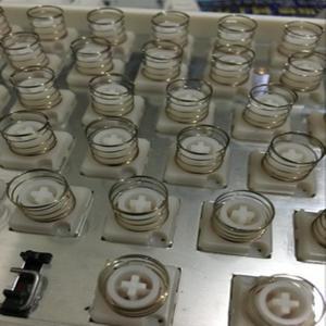 100개 팩 스테인리스 스틸 10g 스프링 토프레 정전식 키보드호환  NIZ HHKB 리얼포스 노바터치