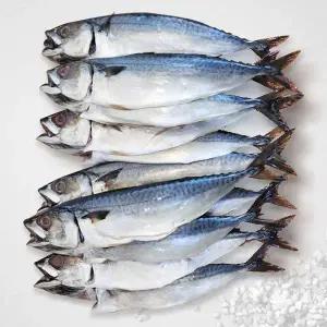 해담 국내산 손질 자반 고등어 소 12미 x 2팩