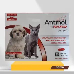 (당일출고) 안티놀 래피드 관절 영양제 강아지 고양이 30정, 1개
