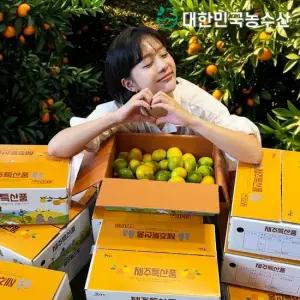 [대한민국농수산]산지직송 조생 제주 감귤 중대과 로얄과 9kg 외