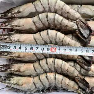 킹 블랙타이거 새우 500g 12미 신선한 급냉 냉동새우