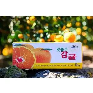 제주 감귤 5kg 조생귤 2L