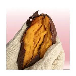 호풍미 호박고구마 중 50-100g 10kg