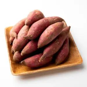 당진 황토 호박고구마 햇고구마 10kg 중사이즈 비세척